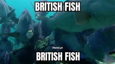Bri'ish fish