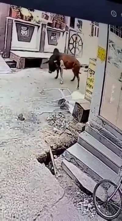 Show this to whoever said &lsquo;not panicking is the best self defence&rsquo;