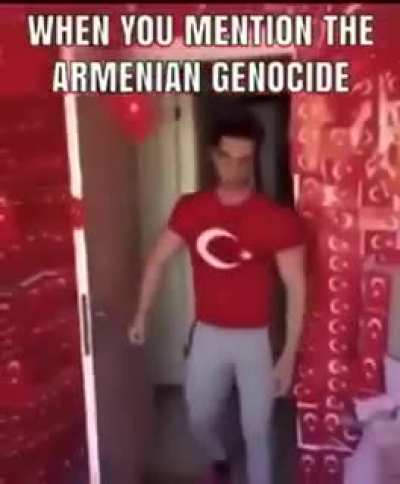 "Didn't happen + if it did they deserved it + armenian lies + it was just war + ratio"