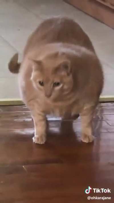 OH LAWD HE COMIN
