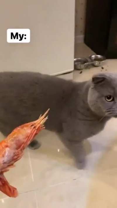 BLEAAAAA