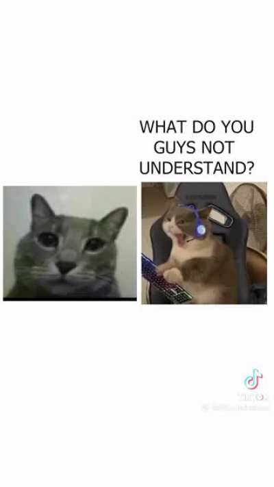 You guys probably don&rsquo;t know what calc means