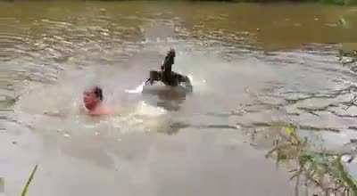 Don&rsquo;t mess with swans
