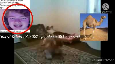 Punjabi 2019 sex meme funy نيغا الجنس ولعب اطفال كرات أنبوب الجنسالحلم لم يغشالحلم لم يغشلعب نيغا حرام knuckles meme approved nigga haram unboxing يونغ بي ام funy اللهأنبوب حرام 2019 مضحك عربي 2001 سكس (sorry if it's bad)