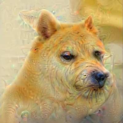 Doge