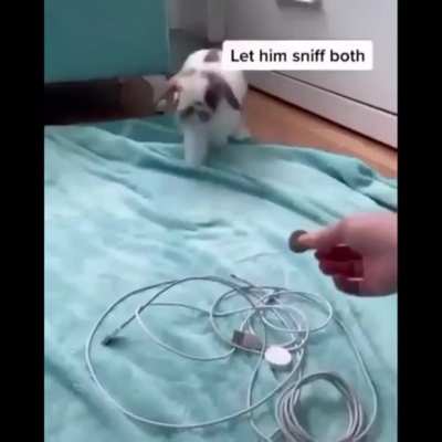 what&rsquo;s up, doc?