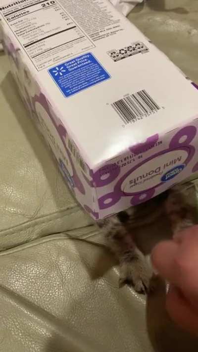 I love that she&rsquo;s entertained by the little things.