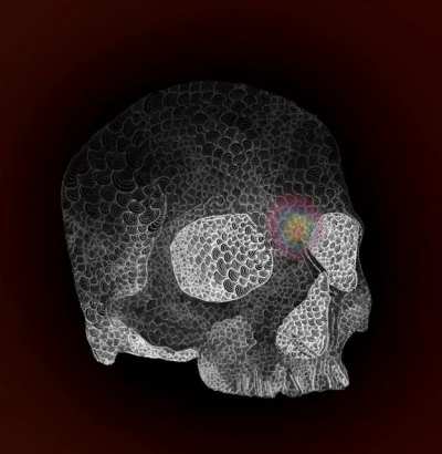 My wife asked me why I kept drawing this skull every night. I told her &ldquo;there are people tripping right now, and they need cool stuff to look at.&rdquo; Hope you like it! I&rsquo;ll link the still image in the comments in case you want to zoom in on my obsession.