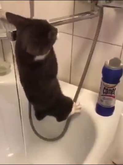 Миссия невыполнима