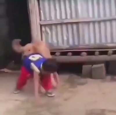 when You Use Whip In Street Fighter