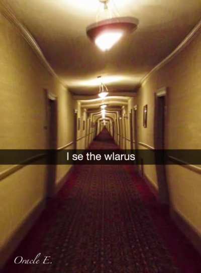 Have y&rsquo;all met the Ambien walrus?? (Been a few years since my experience, and I barely remember anything)
