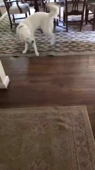 Witchcraft!
