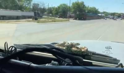 This snake just chilling on this car&rsquo;s windshield.