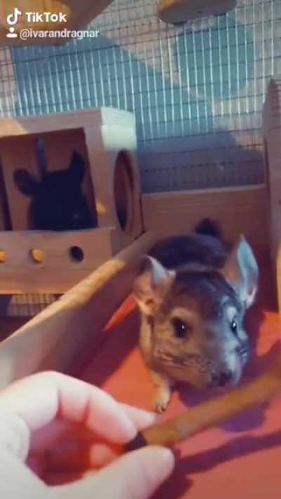 Treats!