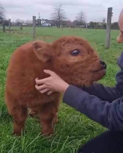 Cuddle time! 😍