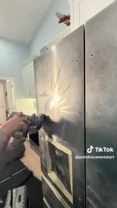 This Refrigerator Customization