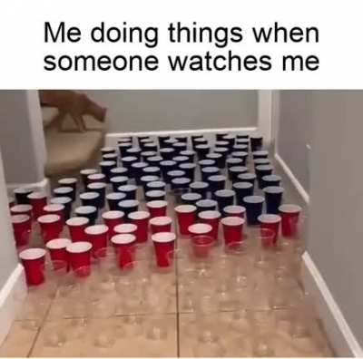 me_irl