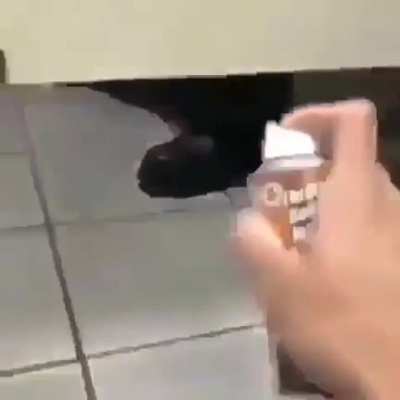 Nice