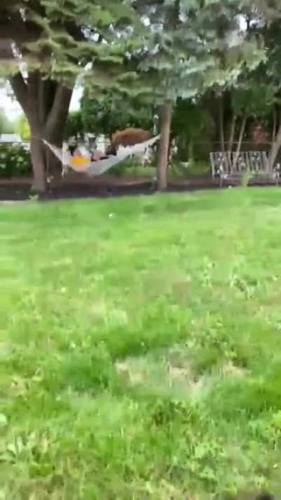 You spin me right round baby right round