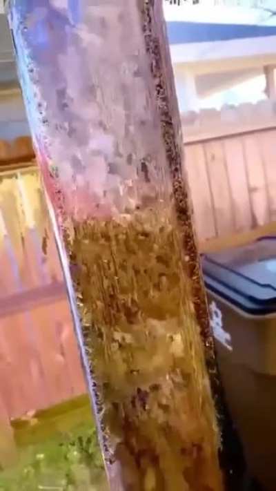 hmm