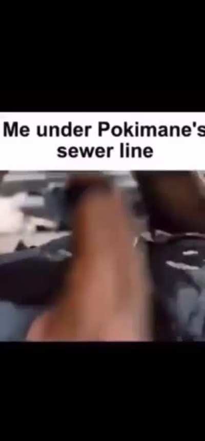 bonk