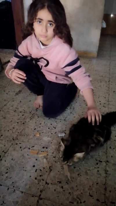My cat is hungry. I&rsquo;m sorry, there is no meat available in Gaza. She has been eating bread and biscuits. I feel so sad for you.