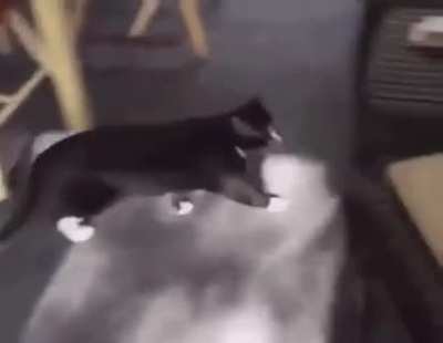 Debra, I&rsquo;m sorry. I&rsquo;m sorry, Debra. Please let me back in the house Debra