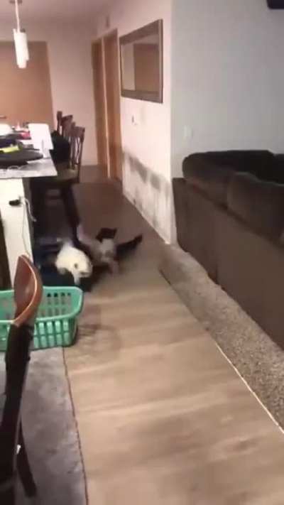 По дому не бегать!