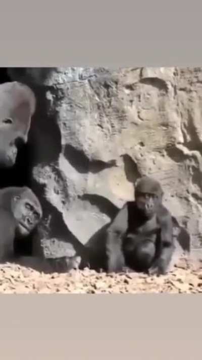 an intresting title