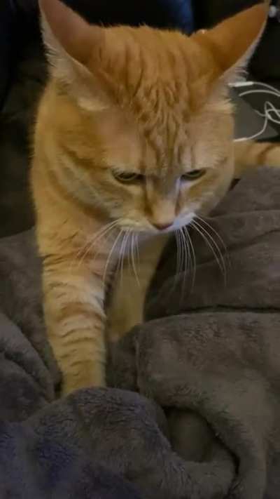 Edna Kneading