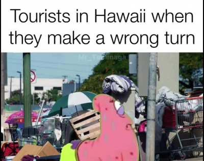 &ldquo;Where&rsquo;s my complimentary lei and drink that comes in a coconut?&rdquo;