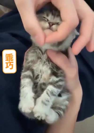 Happy Toes!
