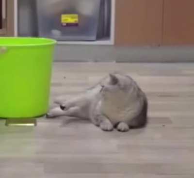 ‮