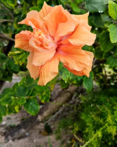 Beauty of Nature