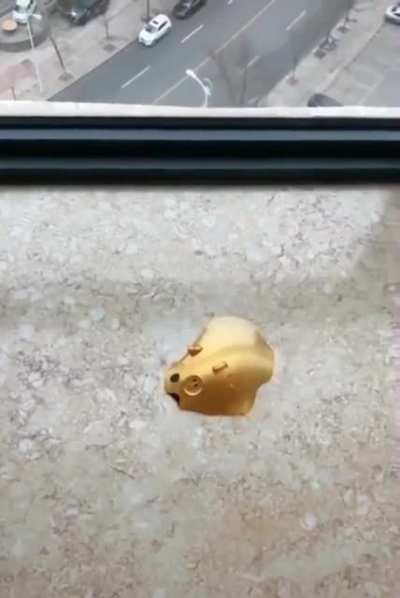 T-1000 pig.