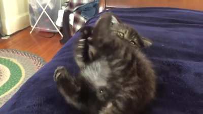 Testing out his claws on the phantom foot