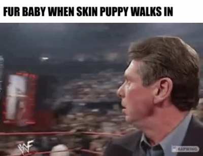 Calling a dog your "fur baby" is cringy