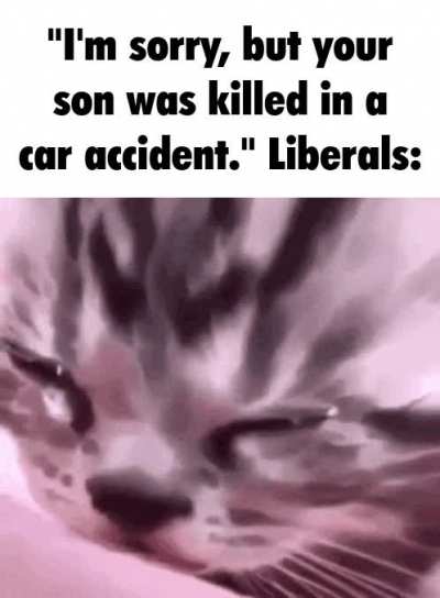 Stinky libtard