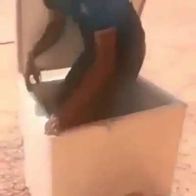 Chupem agora 😡!