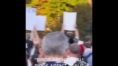 &lsquo;Birds Aren&rsquo;t Real&rsquo; Protest in NYC