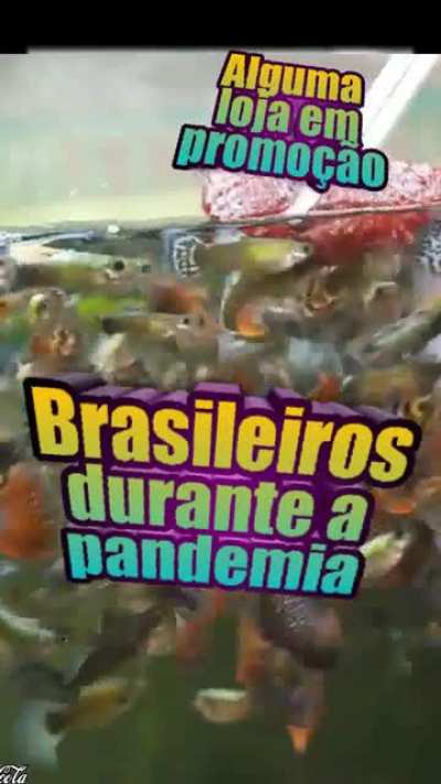 Aten&ccedil;&atilde;o: promo&ccedil;&atilde;o!
