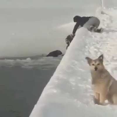 Рука помощи