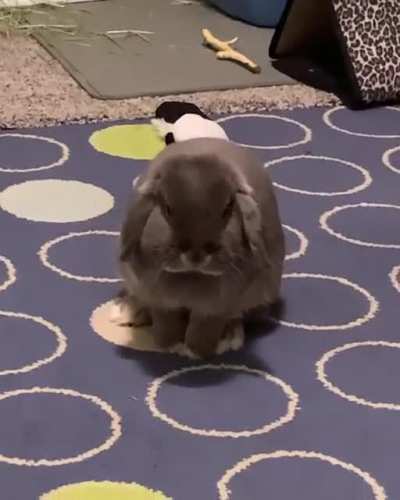 Gary&rsquo;s smooth moves