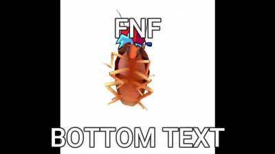 bottom text