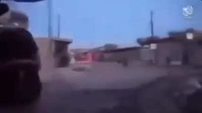 Bolina de gorf