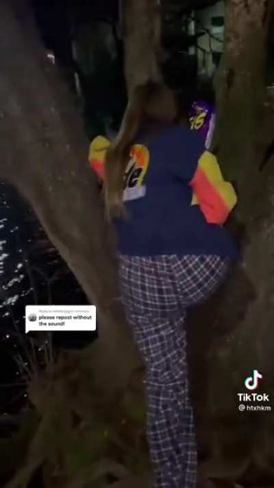 HMC while I show you something cool