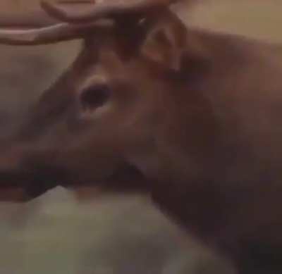 Hope this hasn&rsquo;t been posted yet
