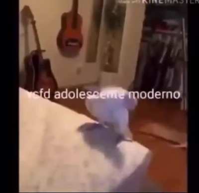 Ningu&eacute;m Liga, adolescente de merda