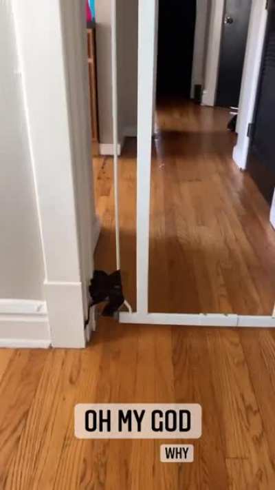 This definitely fits here