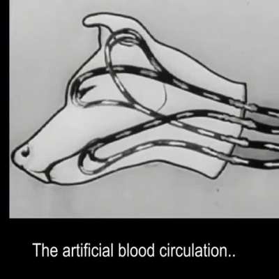 In 1940s, Russian scientists kept a dog&rsquo;s head alive for a few hours.
